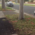 When is Dial before You Dig (DBYD) Report Required?