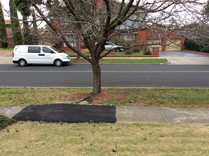 GPR Tree