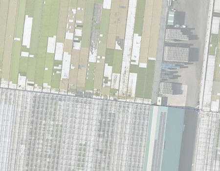 Geoscan utility locating and survey plan at Boomaroo Nurseries Lara — underground service mapping for contractor reference.